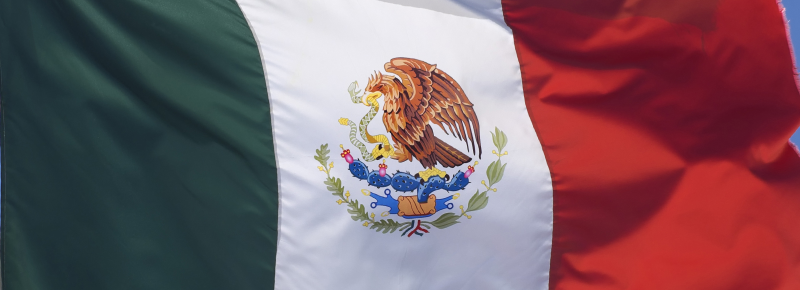 Mexican Flag